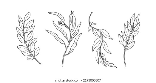 Line Drawing Set Of Plants, Leaves Black Sketch Isolated on White Background. Minimalist Botanical Drawing. Vector monochrome illustration. Modern design for logo, wall art, cards, packaging, tattoo.