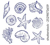 Line drawing of Set of seashells and starfishes coral and in simple linear style. for pattern design or artwork and other