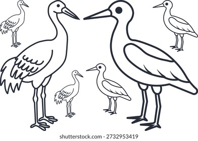 Dibujo de líneas de varias grullas y aves zancudas en varias poses