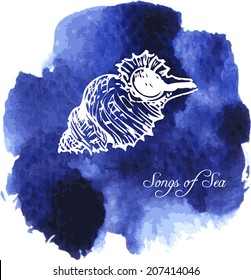 line drawing shell at blue watercolor background, hand drawn vector illustration