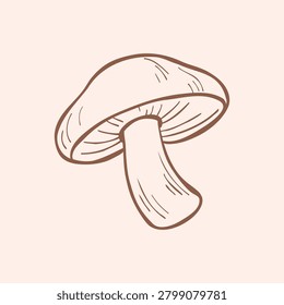 Line drawing of Shiitake mushroom isolated on a creamy background. Hand-drawn vector clip art of an oakwood black mushroom for autumn design, stickers, cards, posters, or web. 