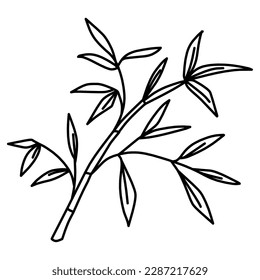 Line drawing of a simple bamboo grass