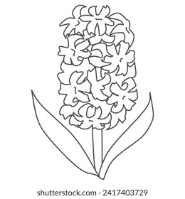 Line drawing of a single hyacinth, simply deformed