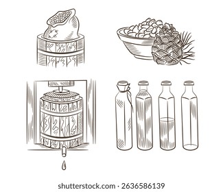 Line drawing. Sketch of cedar oil production. Cedar grains in a container, press, cedar grains in a bag, oil in a bottle.