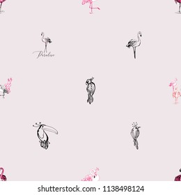 Line drawing sketch parrot, toucan, flamingo birds pattern.  Black hand drawn graphic illustration. Vector seamless background with paradise symbols on pink backdrop.