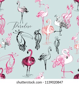 Line drawing sketch parrot, toucan, flamingo birds pattern.  Black pink hand drawn graphic illustration. Vector seamless background with paradise symbols on blue backdrop.