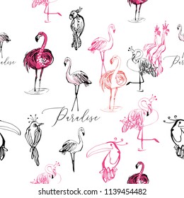 Line drawing sketch parrot, toucan, flamingo birds pattern.  Black hand drawn graphic illustration. Vector seamless background with paradise symbols on white backdrop.