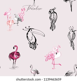 Line drawing sketch parrot, toucan, flamingo birds pattern.  Black hand drawn graphic illustration. Vector seamless background with paradise symbols on pink backdrop.