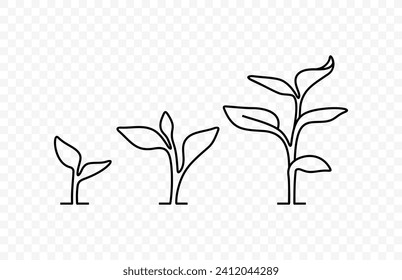 Dibujo de líneas de pequeño diseño vectorial de cultivo de árboles. Ilustración de arte en línea brote joven sobre fondo transparente