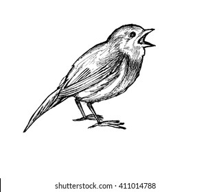 Line Drawing Songbird Stock Vector Royalty Free