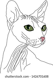 Line drawing a sphinx cat
