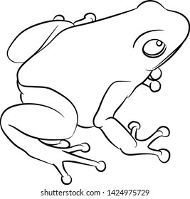 Line drawing. Splash-backed poison frog. Vector