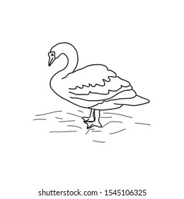 Line drawing of a swan standing on the edge of a river