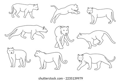 Dibujo en línea de un tigre en varias poses. Ilustración. Vector