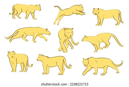 Line drawing of a tiger in various poses. Illustration. Vector