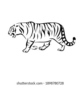 Line drawing tiger. Vector illustration isolated on white