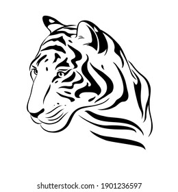 Line drawing tiger. Vector illustration isolated on white