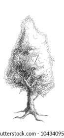 line drawing of a tree