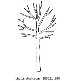 Line drawing of a tree. Hand drawn ink illustration
