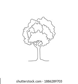 Line drawing of a tree vector isolated on white. coloring book collections.