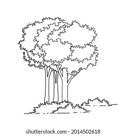 line drawing tree white background vector.