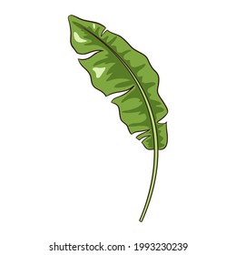 Line Drawing Tropical Banana Leaf. Hand drawing Floral element for logo, cosmetics, spa, emblems, stickers and prints, beauty care products