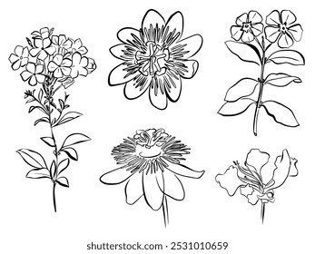 Line drawing of tropical leaves and flowers. Outline of gigantea, milkweed, phlox, passionflower, giant, crown flower, passion, calotropis, hibiscus, flower - hand drawn low plant elements vector illu