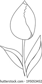 Line drawing of tulip flower isolated on white background. Minimalistic design. Vector illustration