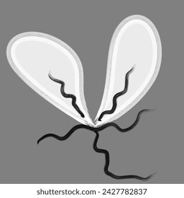 The line drawing is two ovals, dull gray, that are next to each other like a heart shape. and there are black lines connecting them together The background is gray.