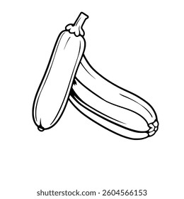 Line Drawing Of Two Zucchini One Peeled Isolated
