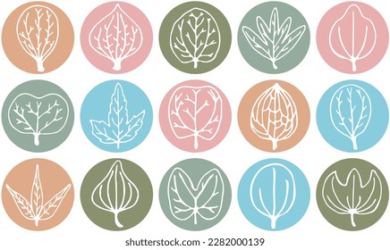 Dibujo de líneas de hojas únicas en forma individual en un círculo. Ambiente orgánico.