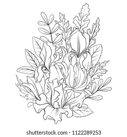 line drawing vector floral composition with flowers, buds and leaves, coloring page for adult, hand drawn illustration