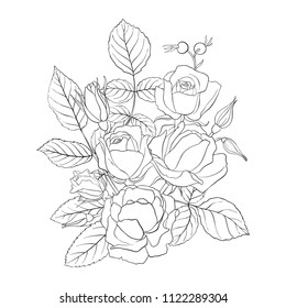 line drawing vector floral composition with flowers, buds and leaves, coloring page for adult, hand drawn illustration