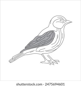 Line drawing vector illustration bird1