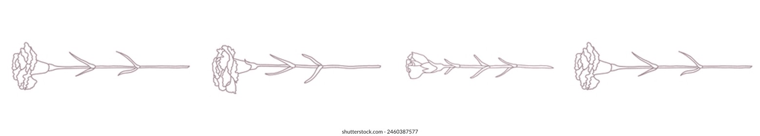 Line drawing vector illustration line of carnation