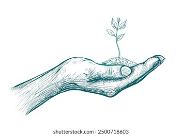 Line Drawing Vector Illustration of a Sapling Plant in Hands on Isolated Background. Growing Young Green Plant concept with Leaves and Soil in hand.