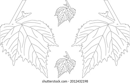 line drawing vector leaf and banana tree leaves. Modern single line art, aesthetic contour. Perfect for home decoration such as posters, wall art, tote bag, t-shirt print, sticker, mobile case