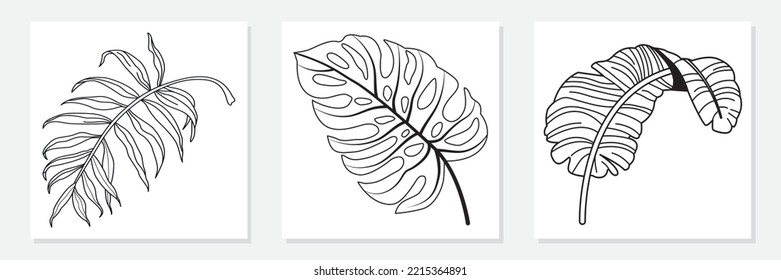 line drawing vector monstera leaf and palm tree leaves. Modern single line art, aesthetic contour. Perfect for home decor such as posters, wall art.