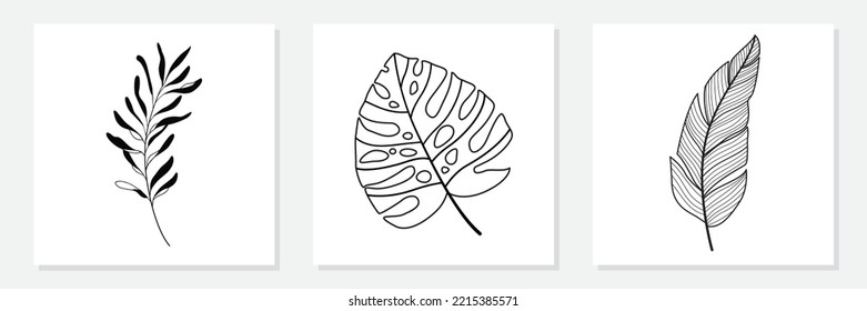 line drawing vector monstera leaf and palm tree leaves. Modern single line art, aesthetic contour. Perfect for home decor such as posters, wall art.