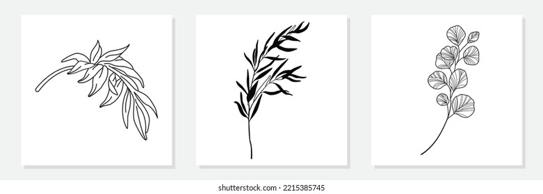 Line Drawing Vector Monstera Leaf And Palm Tree Leaves. Modern Single Line Art, Aesthetic Contour. Perfect For Home Decor Such As Posters, Wall Art.