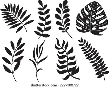line drawing vector monstera leaf and palm tree leaves. Modern single line art, aesthetic contour. Perfect for home decor such as posters, wall art	