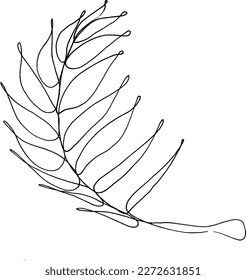 A line drawing vector monstera leaves and leaves from palm tree. Modern single line art, contour aesthetic. Perfect for interior decoration like poster, wallpaper,  print or t-shirt print, sticker