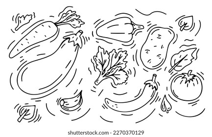 
Line drawing vegetables background. Sketch design.Isolated on white background