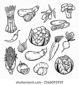 line drawing of vegetables. Vegetarian set. Vintage eggplant, cabbage, asparagus, corn, olives, pepper, zucchini, potato, carrot for product label. Vector black ink outline food sketch illustration