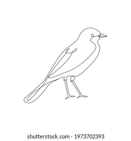 Line drawing wagtail bird tattoo. Vector Illustration. Free single line drawing of bird wagtail. Outline drawing of birds silhouette one line hand drawing continous art. wagtail 
 bird icon line drawn