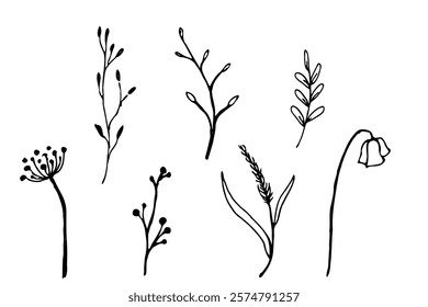 line drawing wild flower set