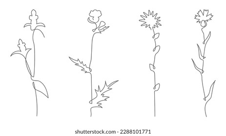 Flores silvestres dibujando líneas. Dibujo continuo de líneas de plantas Sketch negro de flores aisladas , Vector EPS 10