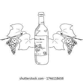 Line drawing of wine and grapes