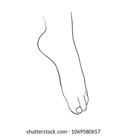 line drawing woman foot isolated at white background, hand drawn illustration