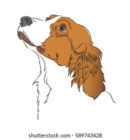 Line drawings Dog Vector